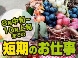 千葉中央観光農園 千葉中央観光農園