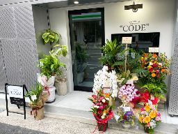 hair dress ”CODE”【ヘアードレス コード】 hair dress ”CODE”【ヘアードレス コード】