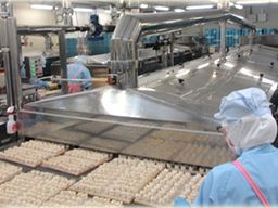 大善食品株式会社 大善食品株式会社