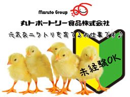 丸トポートリー食品株式会社 丸トポートリー食品株式会社