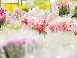 株式会社 日本総合園芸 株式会社 日本総合園芸
