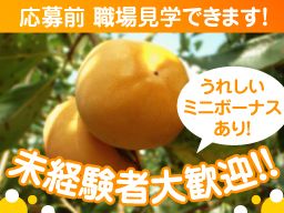 南総ポート株式会社 南総ポート株式会社