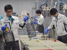 日本電鍍工業 株式会社 日本電鍍工業 株式会社