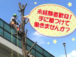 有限会社 山本造園 有限会社 山本造園