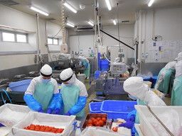 株式会社 ファーストフーズ 武蔵工場 株式会社 ファーストフーズ 武蔵工場