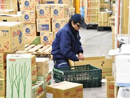 株式会社 ワタリ青果 株式会社 ワタリ青果
