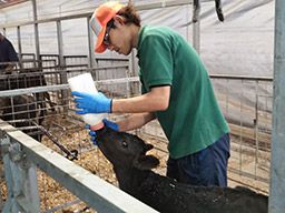 農業生産法人 有限会社若林牧場 農業生産法人 有限会社若林牧場