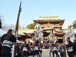 富岡八幡宮 富岡八幡宮