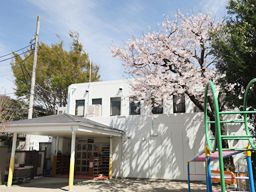 社会福祉法人 桜ヶ丘 桜ヶ丘保育園 社会福祉法人 桜ヶ丘 桜ヶ丘保育園