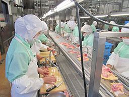 三和食鶏グループ 株式会社 三和食鶏(サンワショクケイ) 三和食鶏グループ 株式会社 三和食鶏(サンワショクケイ)