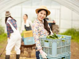 シェアフル株式会社 /5515181784 シェアフル株式会社 /5515181784