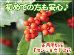 みどり園 みどり園