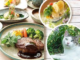 洋食ダイニング ふらんす屋 洋食ダイニング ふらんす屋