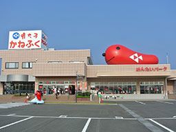 株式会社東京かねふく めんたいパーク大洗 株式会社東京かねふく めんたいパーク大洗