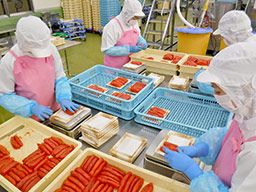 株式会社東京かねふく 大洗工場 株式会社東京かねふく 大洗工場