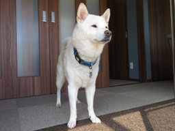 株式会社 オネスティー 株式会社 オネスティー