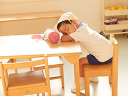 学校法人 俊幸学園 青木幼稚園 学校法人 俊幸学園 青木幼稚園