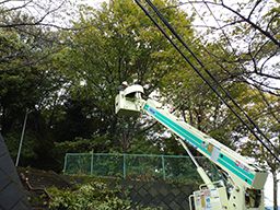 株式会社 秋川緑化 株式会社 秋川緑化