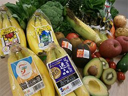 神奈川県鎌倉市 副業 Wワークokのバイト アルバイト パート求人情報 クリエイトバイト