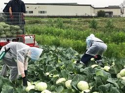 株式会社 菜果野アグリ福岡 株式会社 菜果野アグリ福岡
