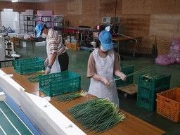 株式会社 菜果野アグリ福岡 株式会社 菜果野アグリ福岡