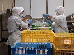 マルマツ食品 有限会社 マルマツ食品 有限会社