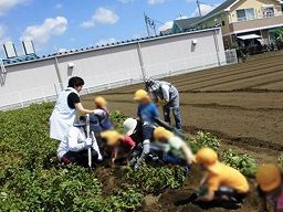 社会福祉法人 たんぽぽ会 たんぽぽ第二保育園 社会福祉法人 たんぽぽ会 たんぽぽ第二保育園