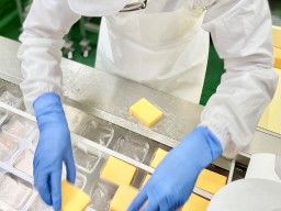 ユニオンチーズ株式会社 ユニオンチーズ株式会社