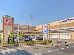 マツモト 長岡京店 マツモト 長岡京店