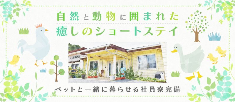 ショートステイはが ショートステイはが