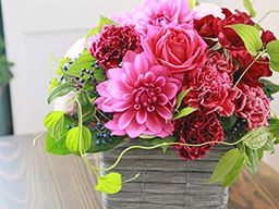 有限会社 あさの(花摘) 有限会社 あさの(花摘)