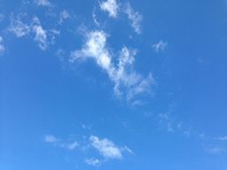 柏谷(かしわや)会計事務所 柏谷(かしわや)会計事務所
