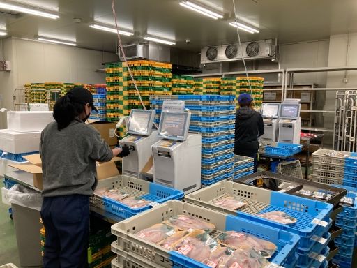 株式会社 水産流通 市川センター 株式会社 水産流通 市川センター