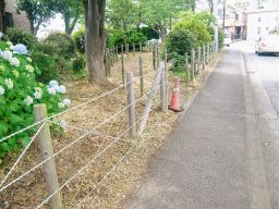 株式会社小池造園 株式会社小池造園