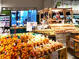 有限会社やさい工場 有限会社やさい工場
