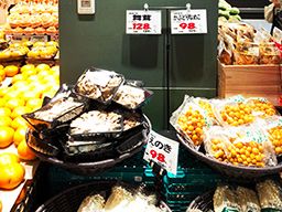 有限会社やさい工場 有限会社やさい工場