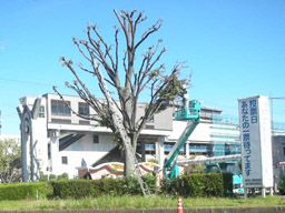株式会社 小林造園土木 株式会社 小林造園土木