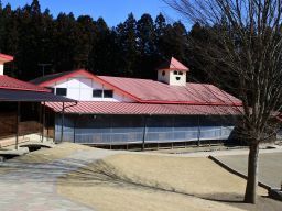 こどもの森こころ保育園 こどもの森こころ保育園