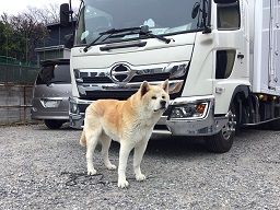 株式会社ウインカンパニー 株式会社ウインカンパニー