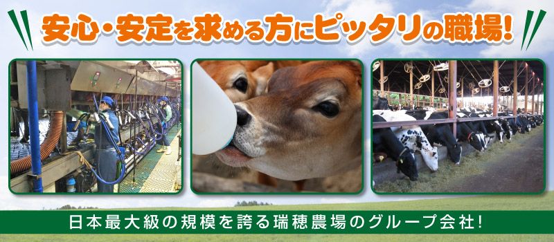 農業生産法人 有限会社若林牧場 農業生産法人 有限会社若林牧場