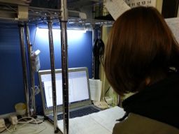 株式会社ハンズ 株式会社ハンズ
