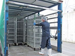 三和食鶏グループ 株式会社 三和食鶏(サンワショクケイ) 三和食鶏グループ 株式会社 三和食鶏(サンワショクケイ)