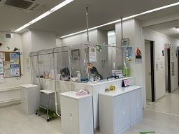 アンヌ小児科 アンヌ小児科