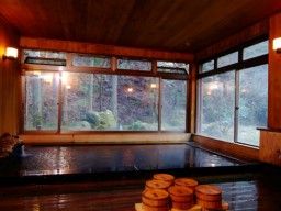 丹沢大山固定公園 七沢温泉 元湯玉川館 丹沢大山固定公園 七沢温泉 元湯玉川館