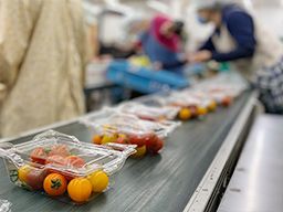 有限会社 三浦パッケージ 有限会社 三浦パッケージ