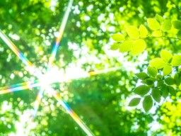 医療法人社団 鶴永会 鶴が丘ガーデンホスピタル