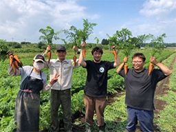 有限会社 メープルファーム 有限会社 メープルファーム