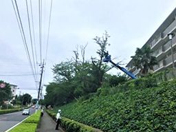 株式会社 和庭園 株式会社 和庭園