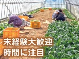 有限会社ファーム笹山 有限会社ファーム笹山