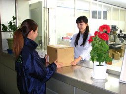 株式会社 シティーアクト 株式会社 シティーアクト